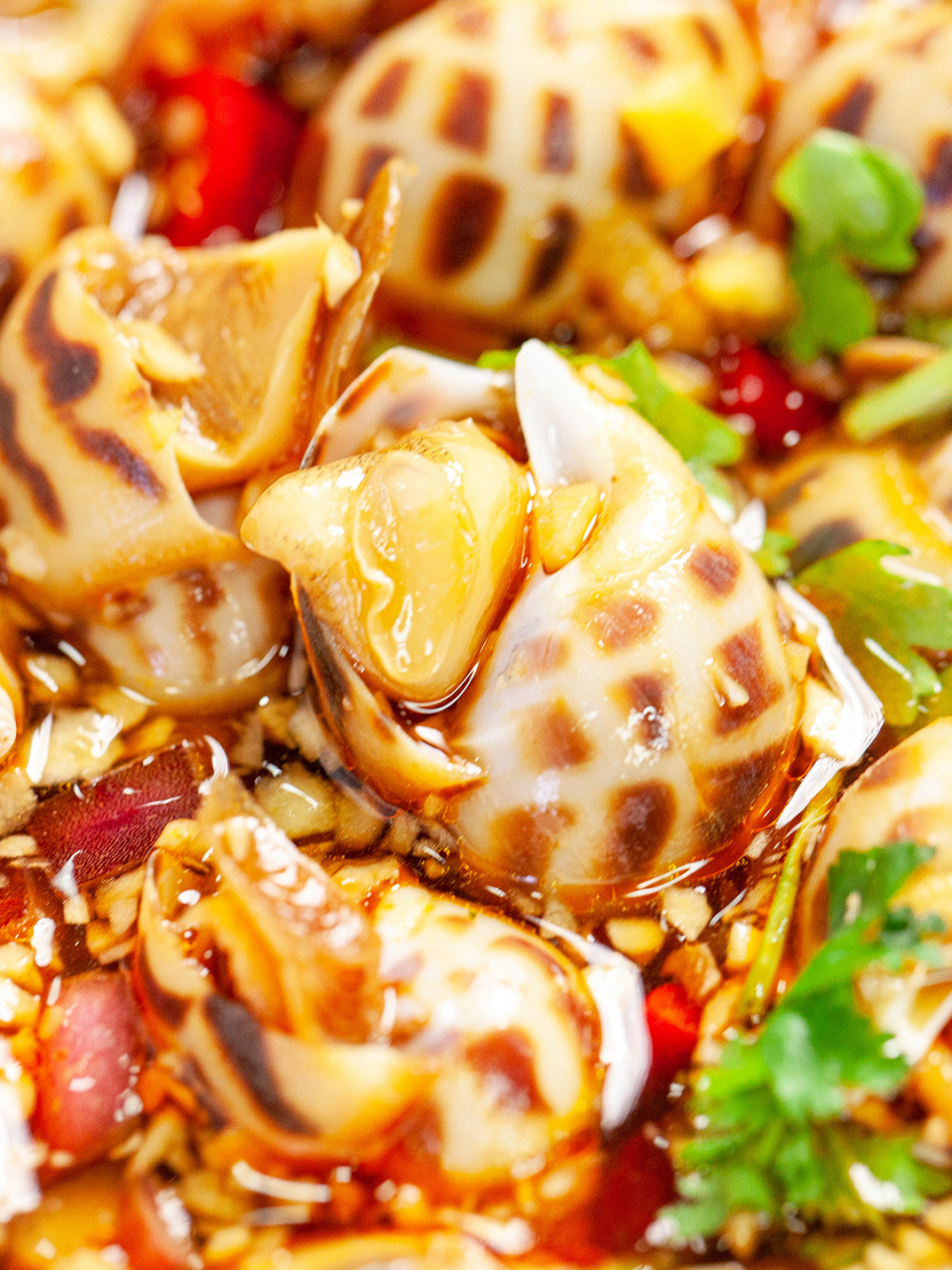 爽辣过瘾75适合夏天吃的捞汁花螺 夏天必须安排上的捞汁海鲜,分享给