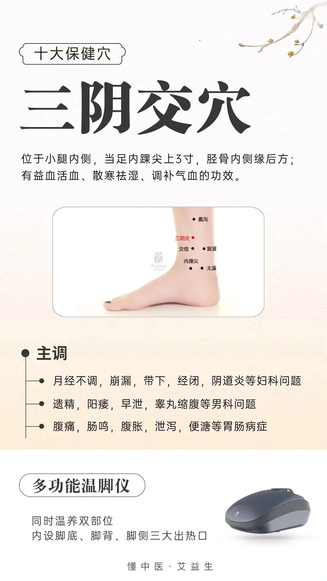 人体保健穴～三阴交 位于小腿内侧,当足内踝尖上了寸,胫骨内侧缘后方.