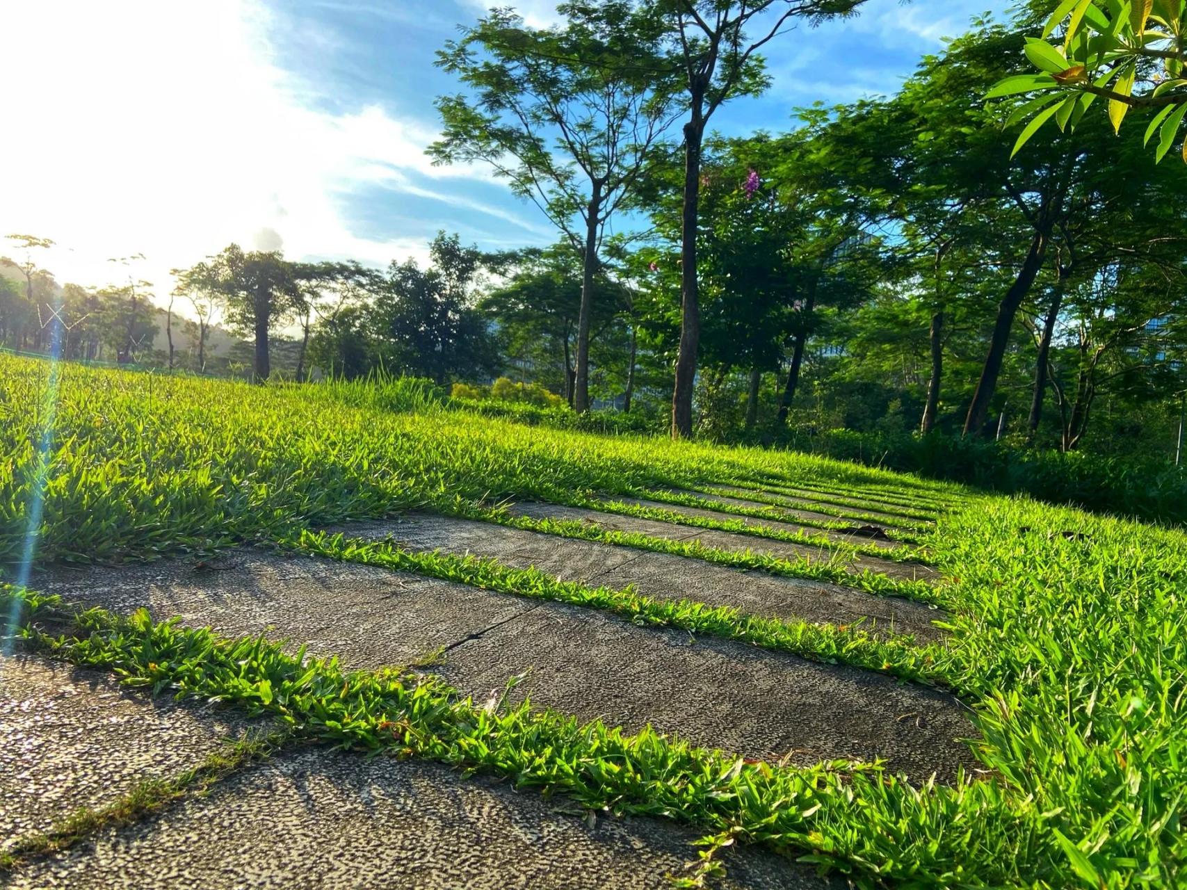 深圳龙岗 大运公园 藏在大自然公园湖畔的独栋书吧咖啡厅 很平价 很