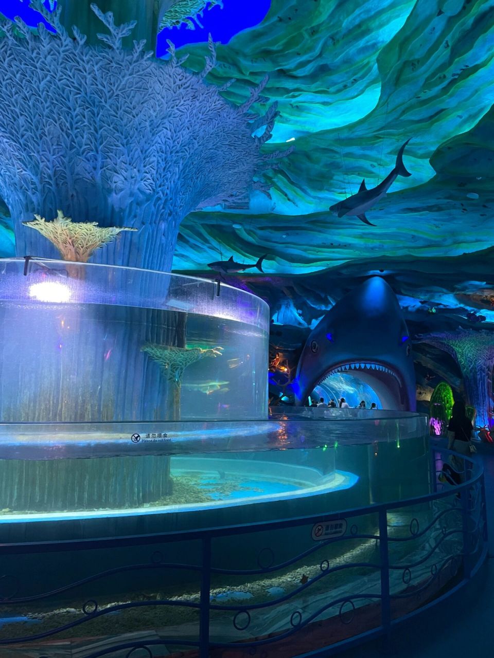 徐州这家海世界太好逛了9807 98:徐州欧乐堡海洋极地世界 90