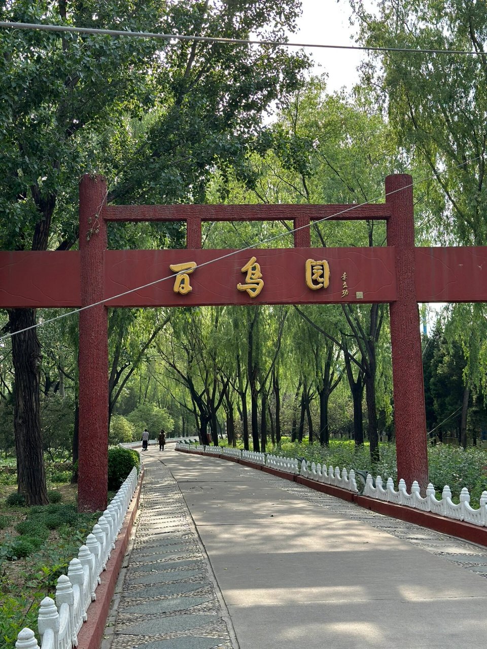 太原遛娃好去处72—森林公园(百鸟园) 位置99:大同路上森林公园
