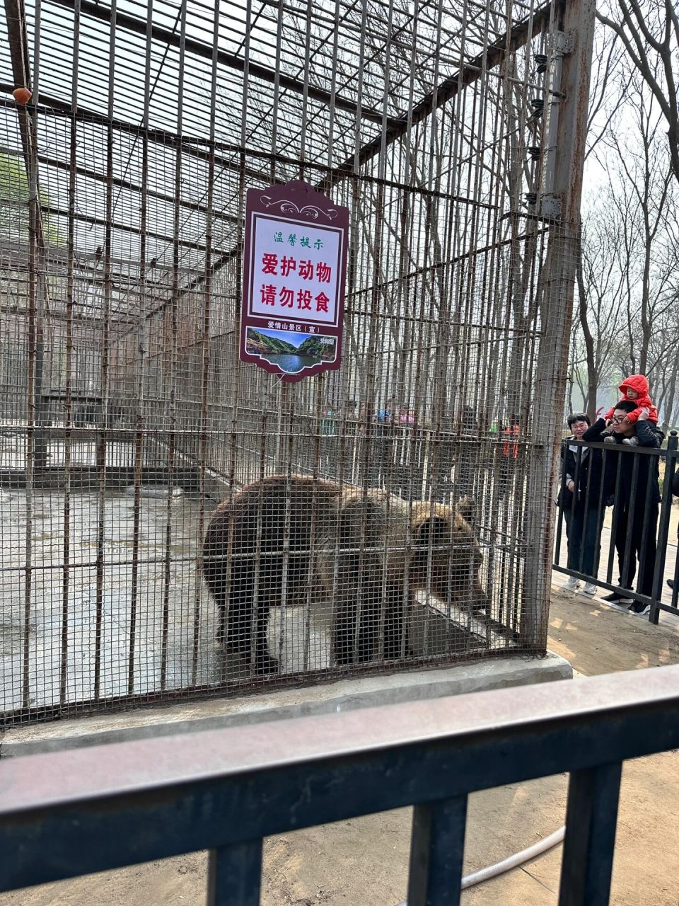 邢台市动物园介绍图片