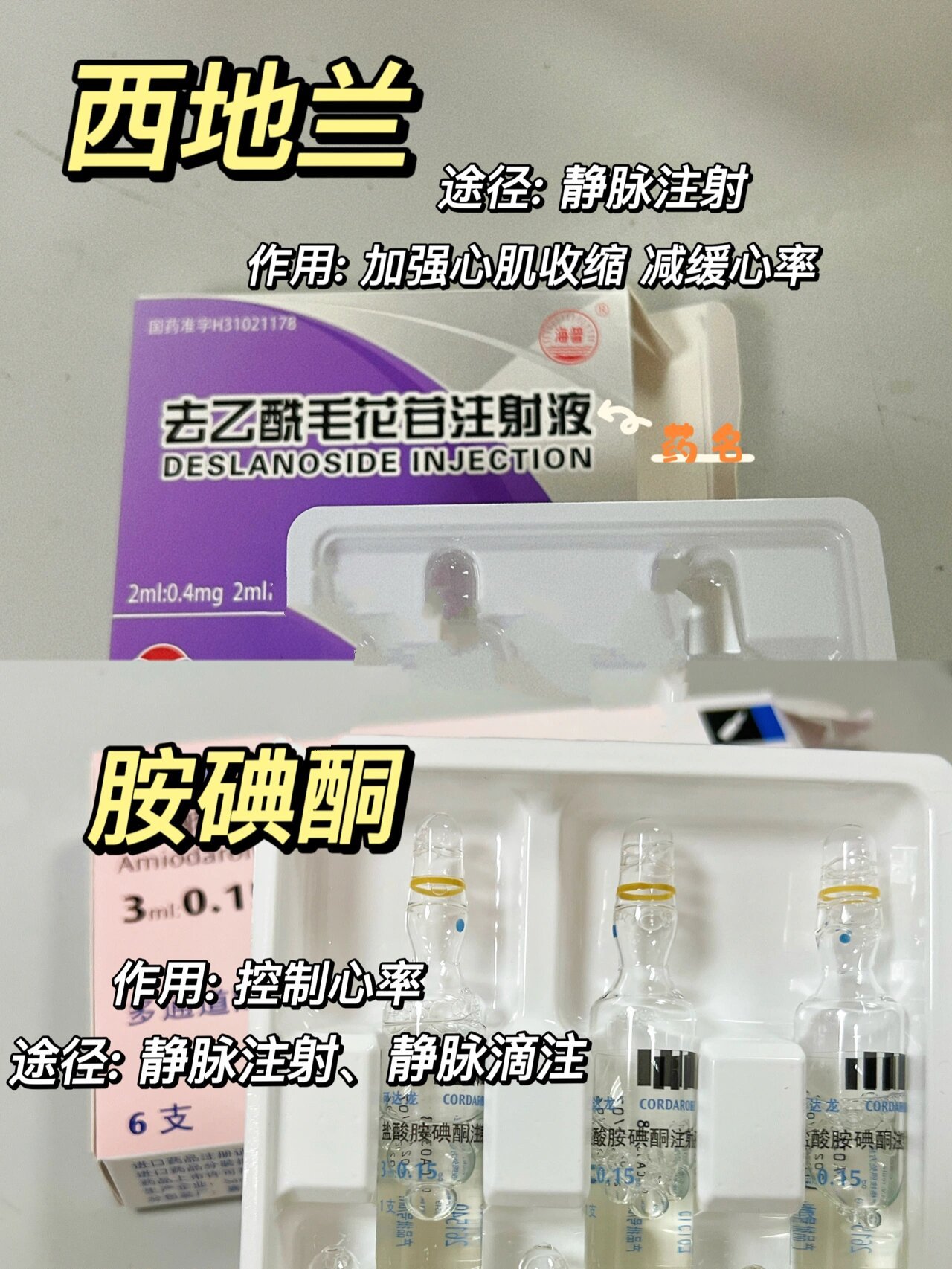 一分钟记忆内科常用针剂心率药 胺碘酮用于心率失常,心动过速 西地兰
