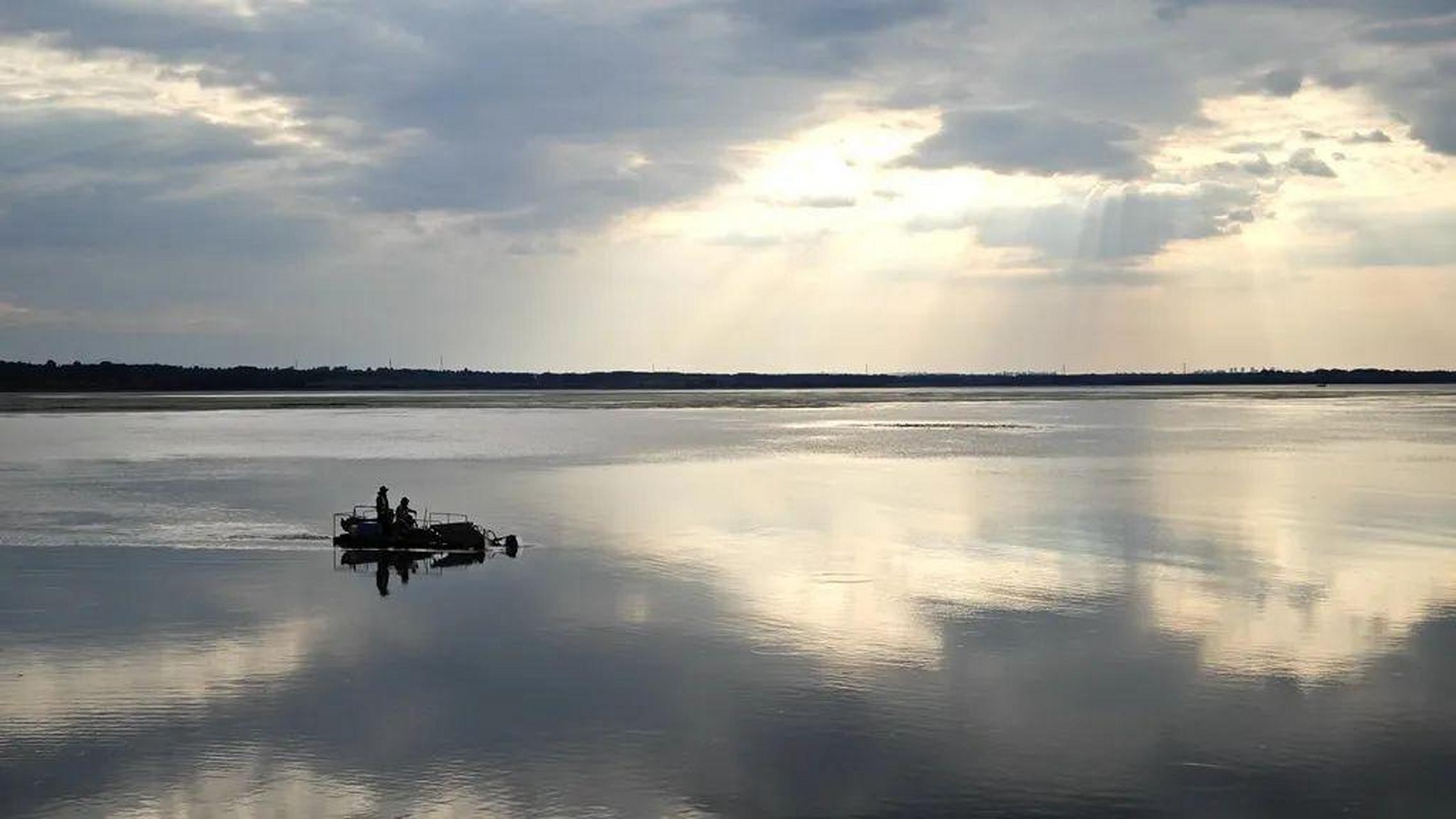 夏日的长治市漳泽湖国家城市湿地公园,凉风习习,蛙鸣鸟啾,正是避暑赏