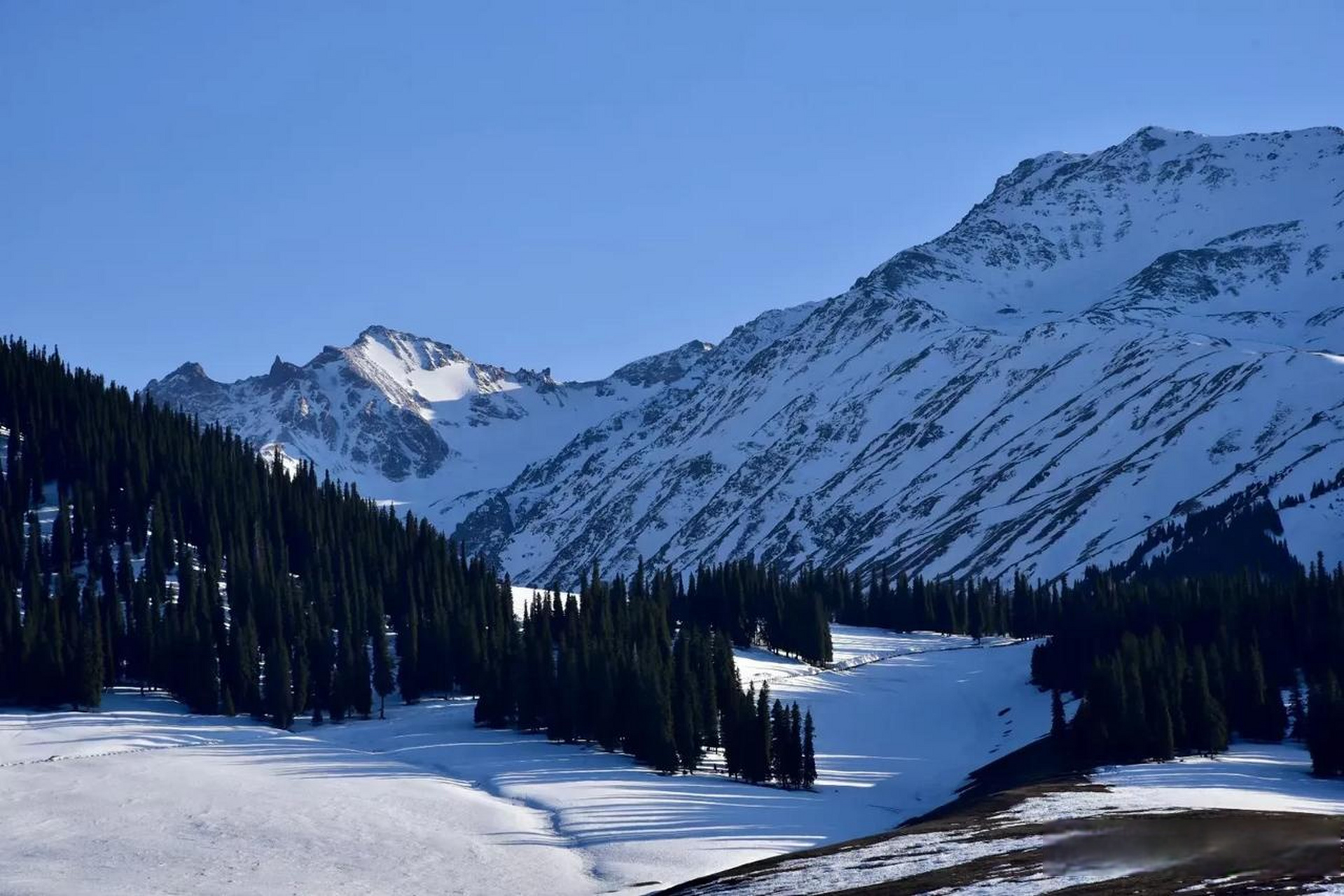 那拉提的雪景真是美得令人窒息.