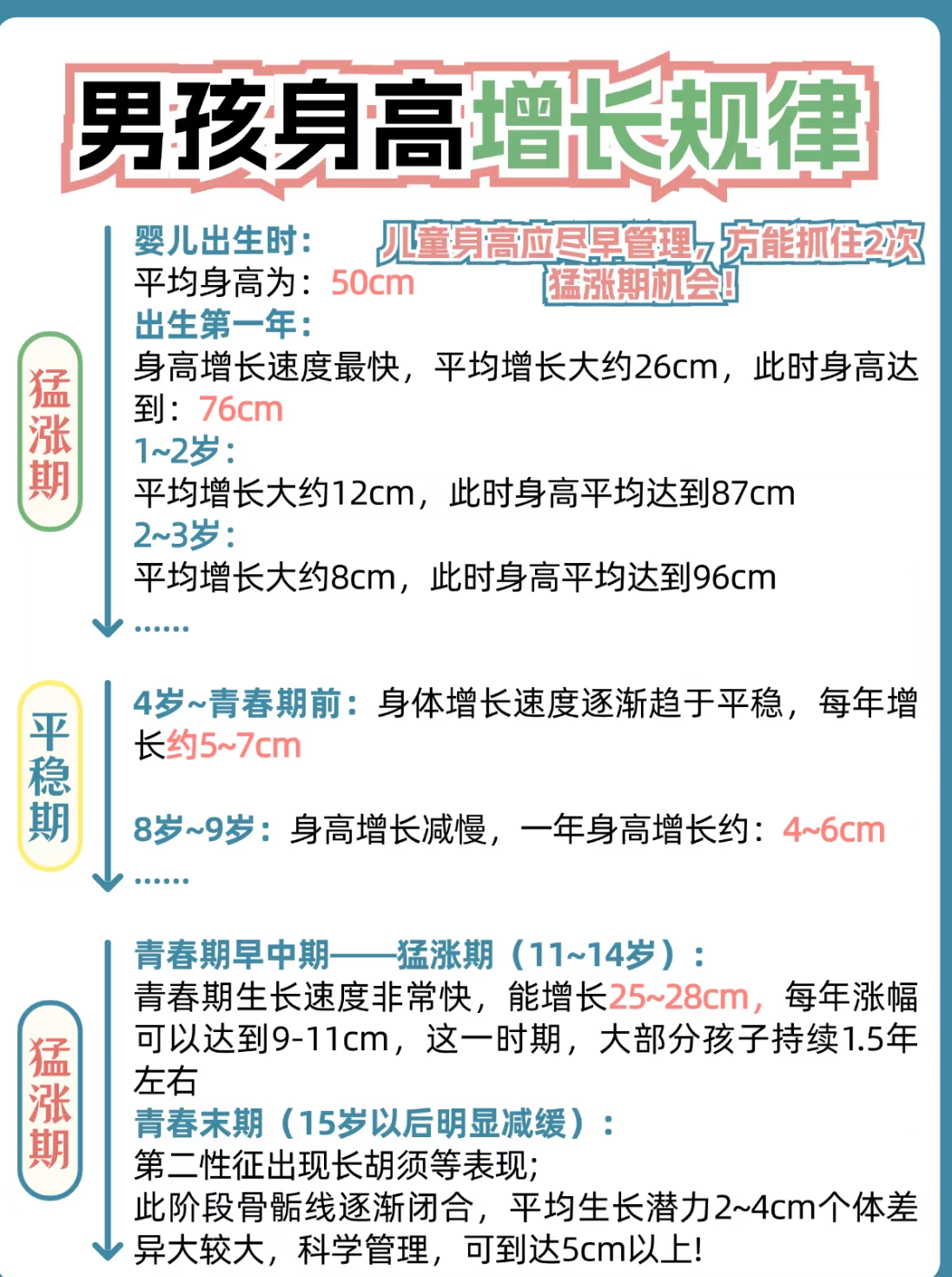 发育顺序是这样的: