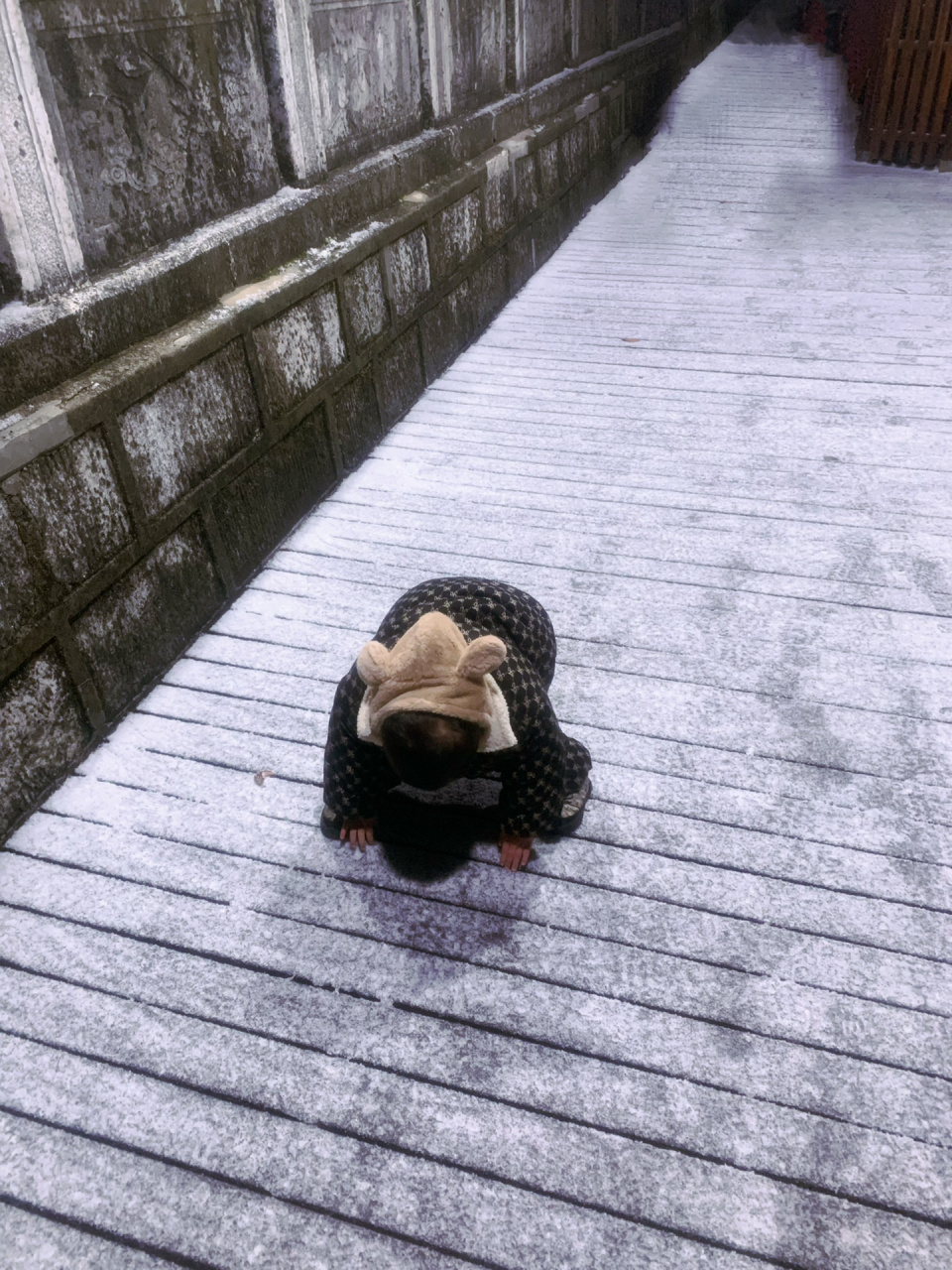 九华山肉身宝殿金钱树,两岁宝宝三步一跪 九华山肉身宝殿金钱树,见者