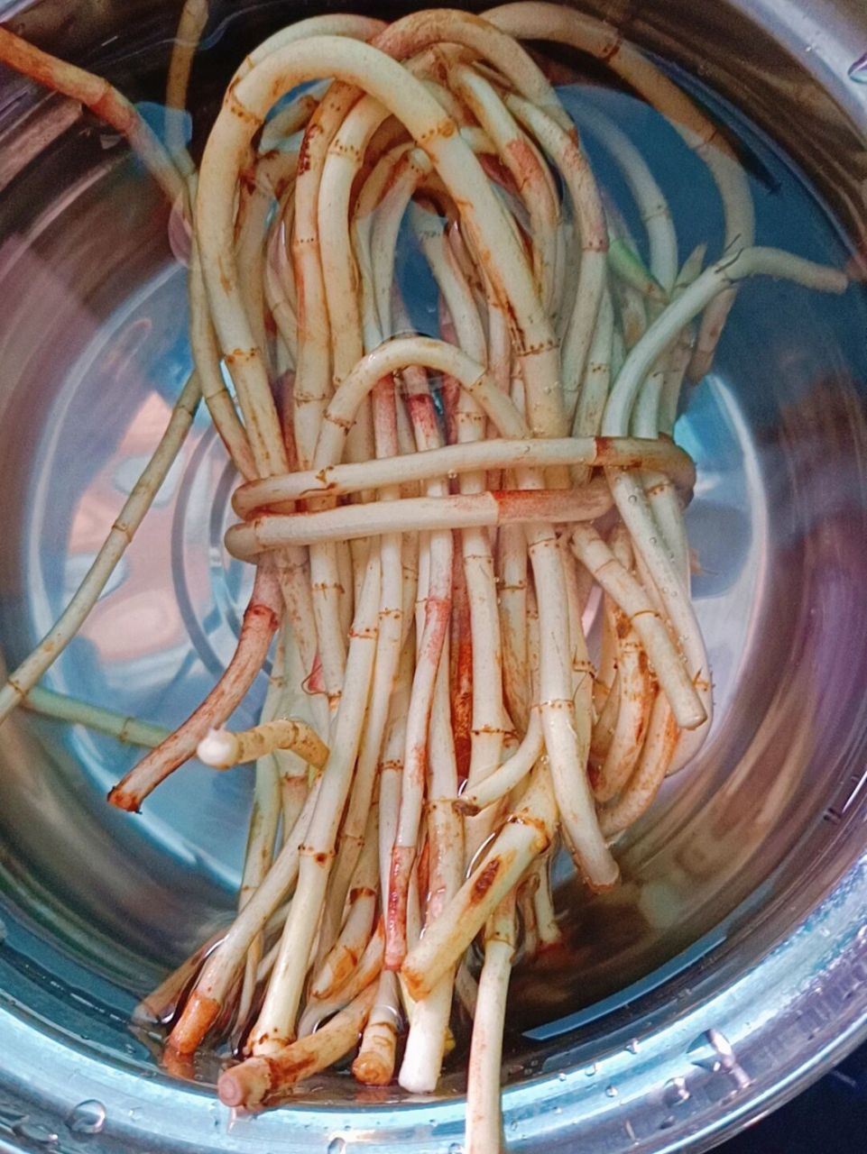 云南人的吃法——鱼腥草煮水喝!