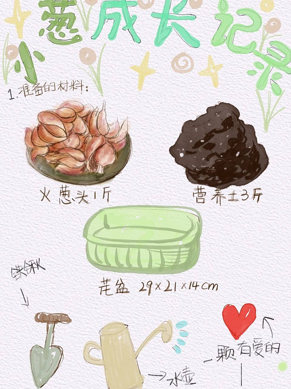 小学一年级植物生长记录 之前和女儿一起种了小葱 作业的要求是拍照