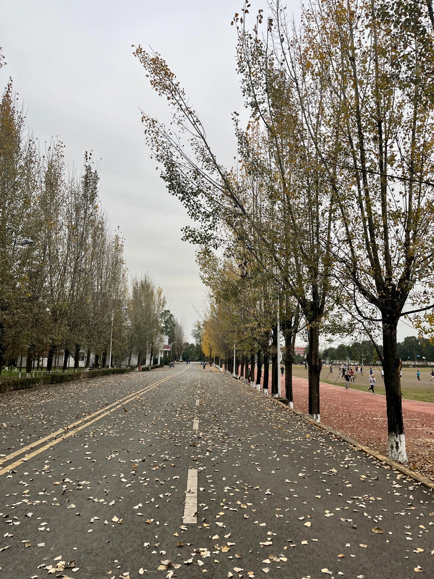 四川工业科技学院绵竹图片