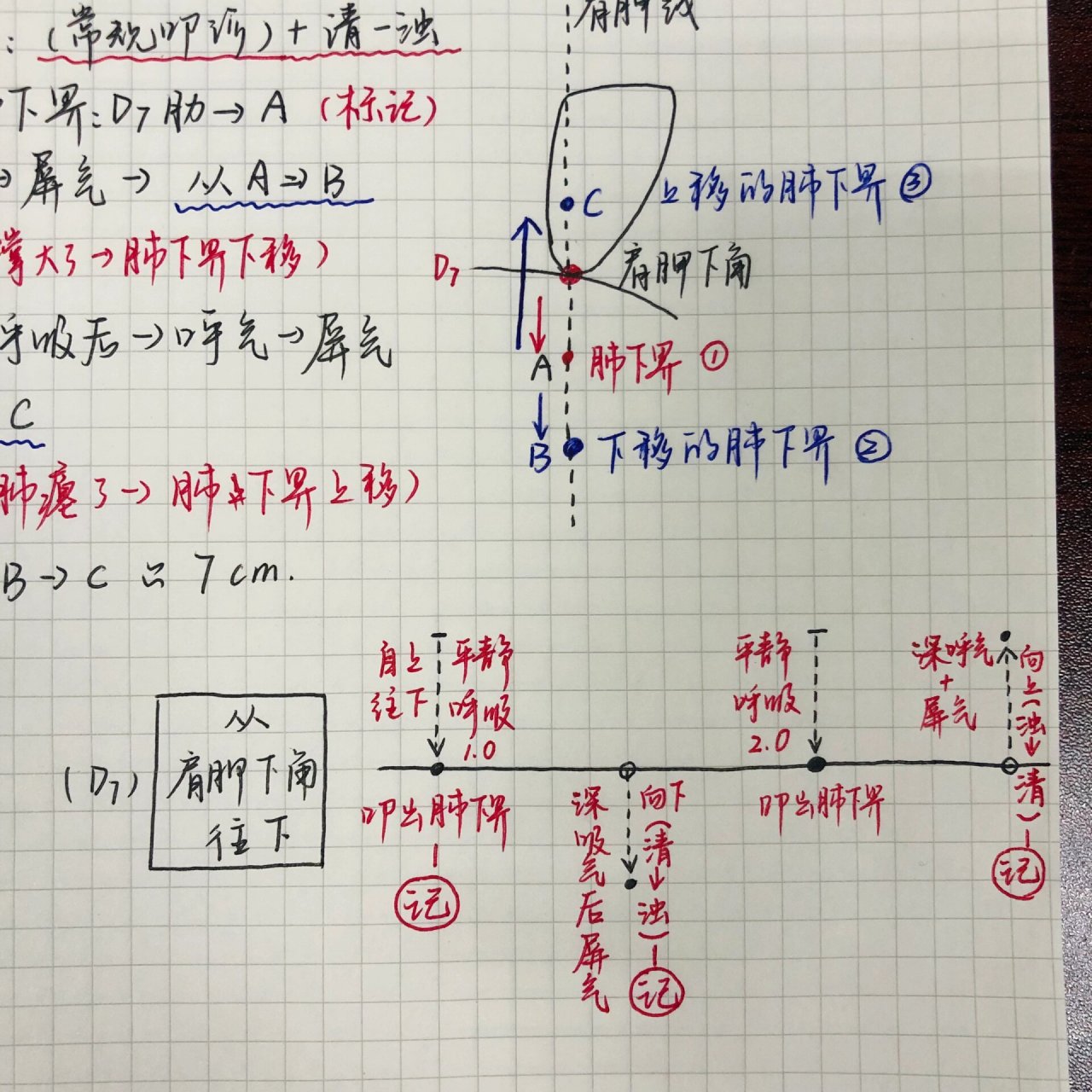 肺下界移动度图片