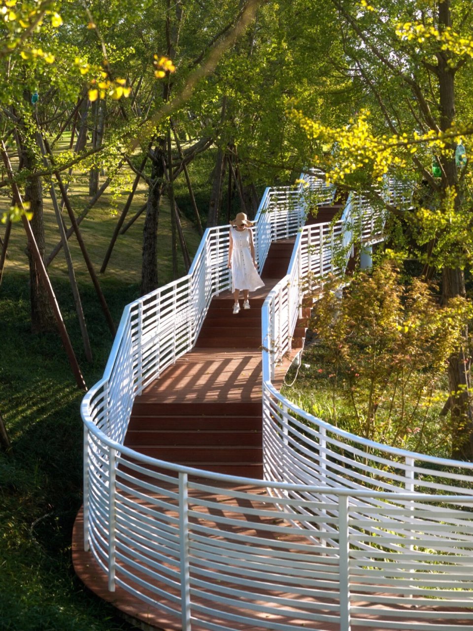 四川黑龙滩双燕子公园 黑龙滩,坐落于天府大道中轴线南端,视高,眉山