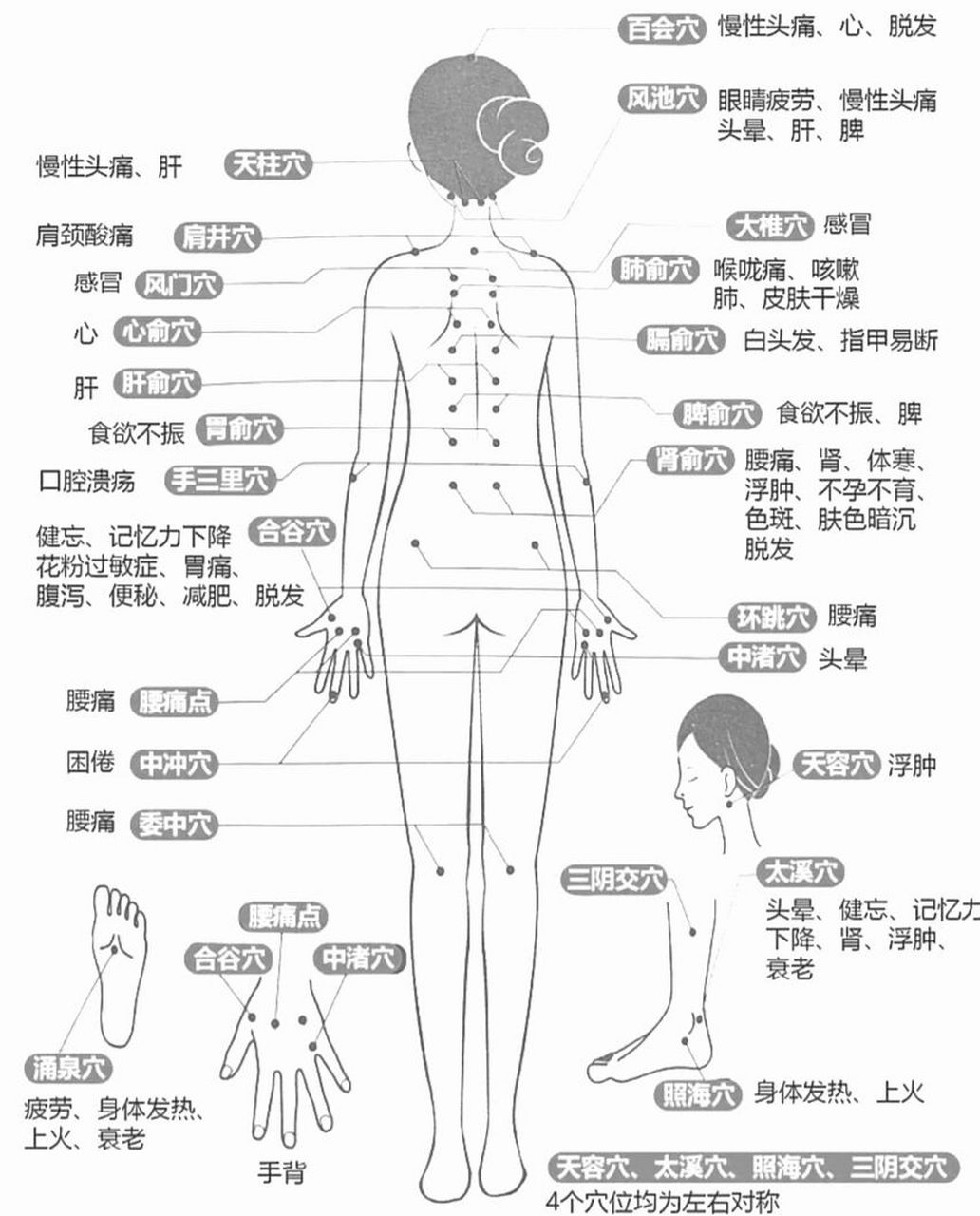 全身的准确位置图图片