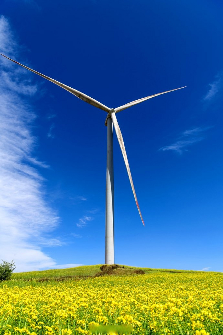 花海中的风电场#】在这样温暖的春日里,云南罗平洒谷风电场白色的