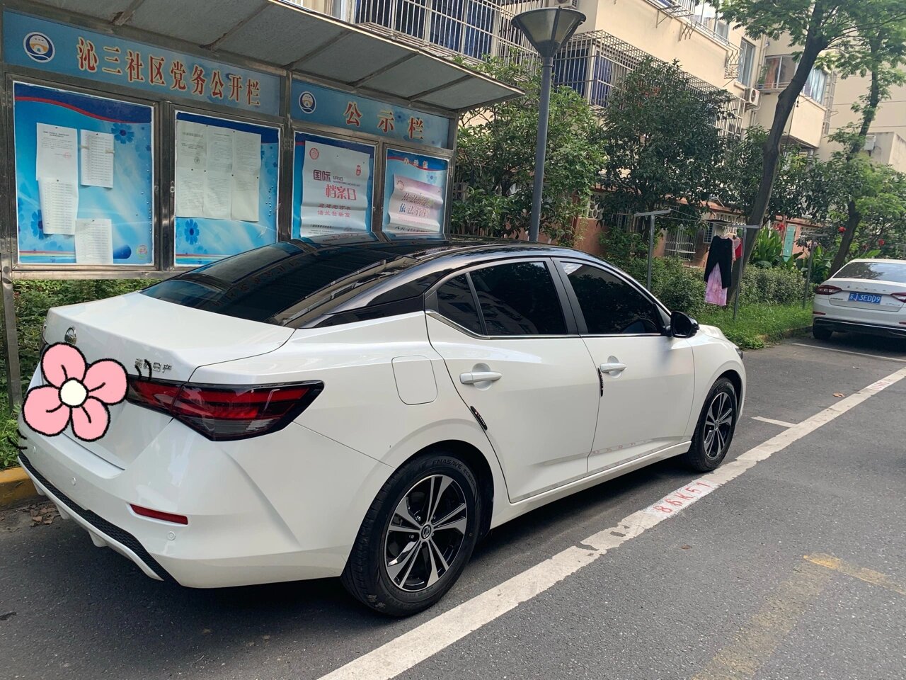 14代轩逸黑顶黑耳朵!