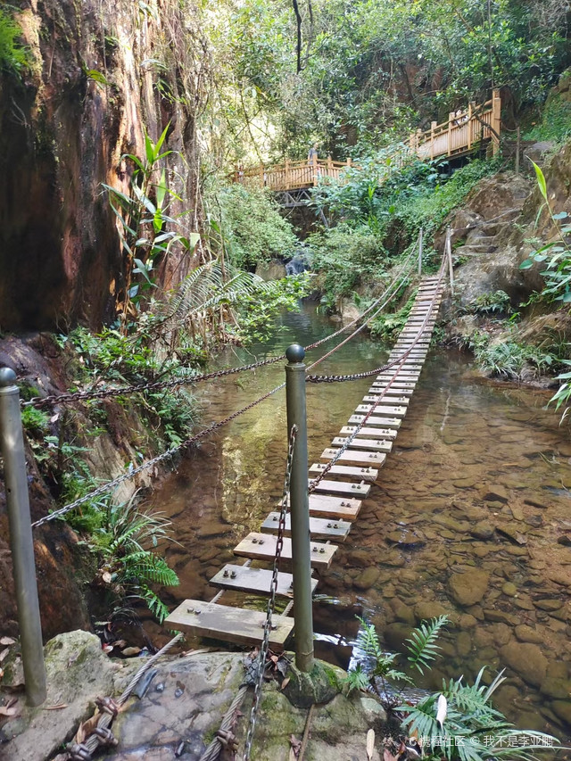 肇庆·黄金沟森林旅游景区