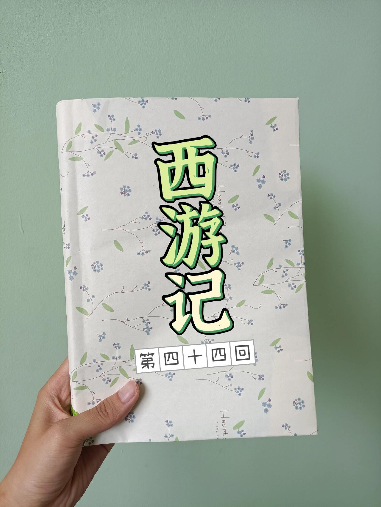 西游记读书笔记 | 第44回,附读后感96