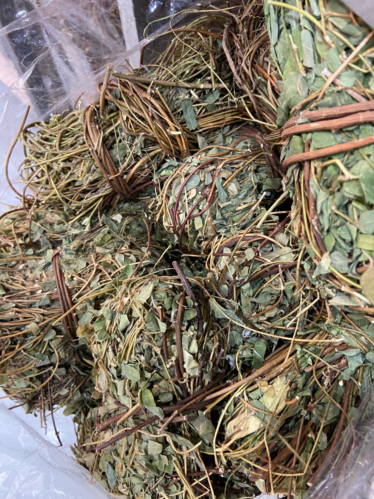 鸡骨草 清热解毒,舒肝止痛,利湿退黄 鸡骨草为豆科植物广州相思子的