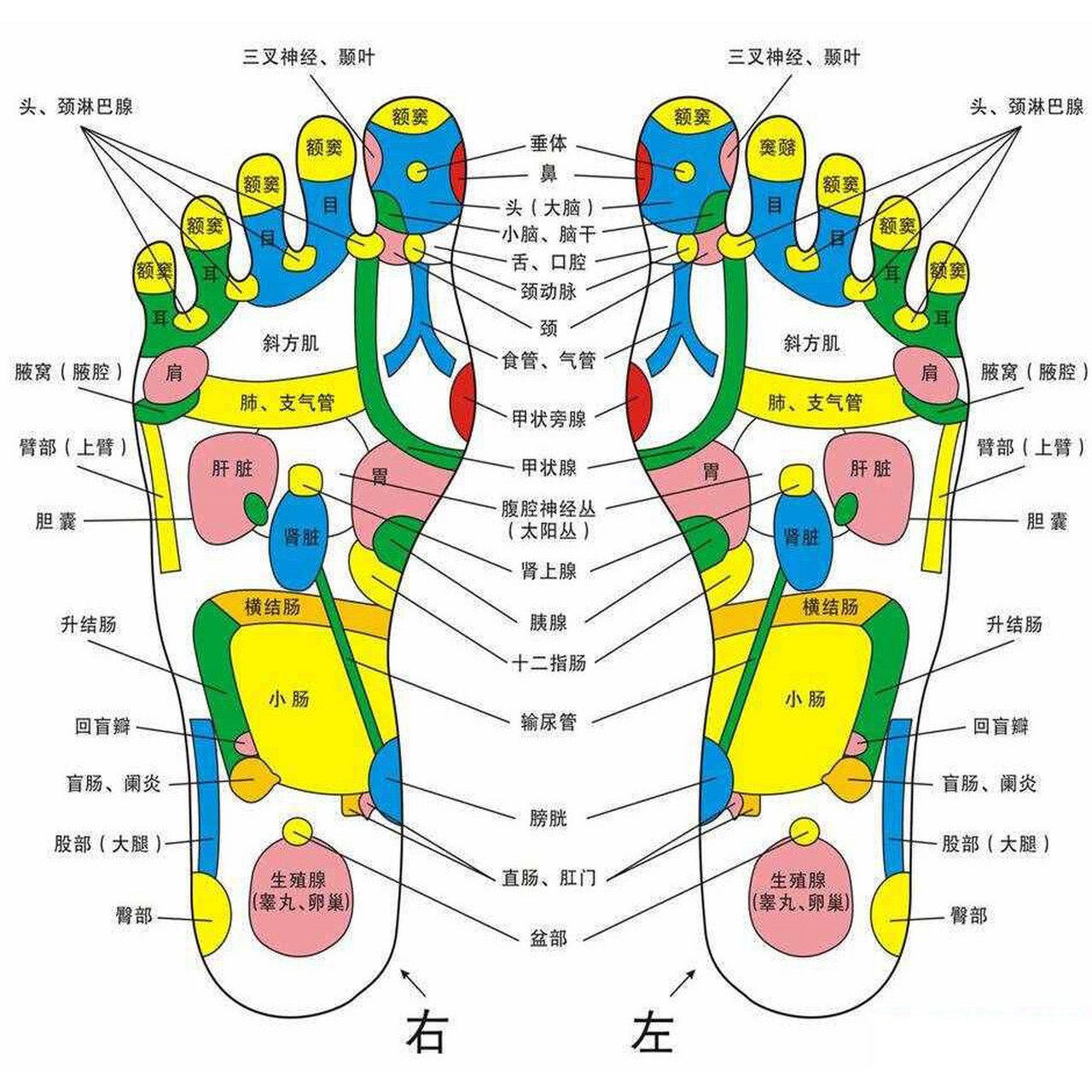 脚背刮痧图片