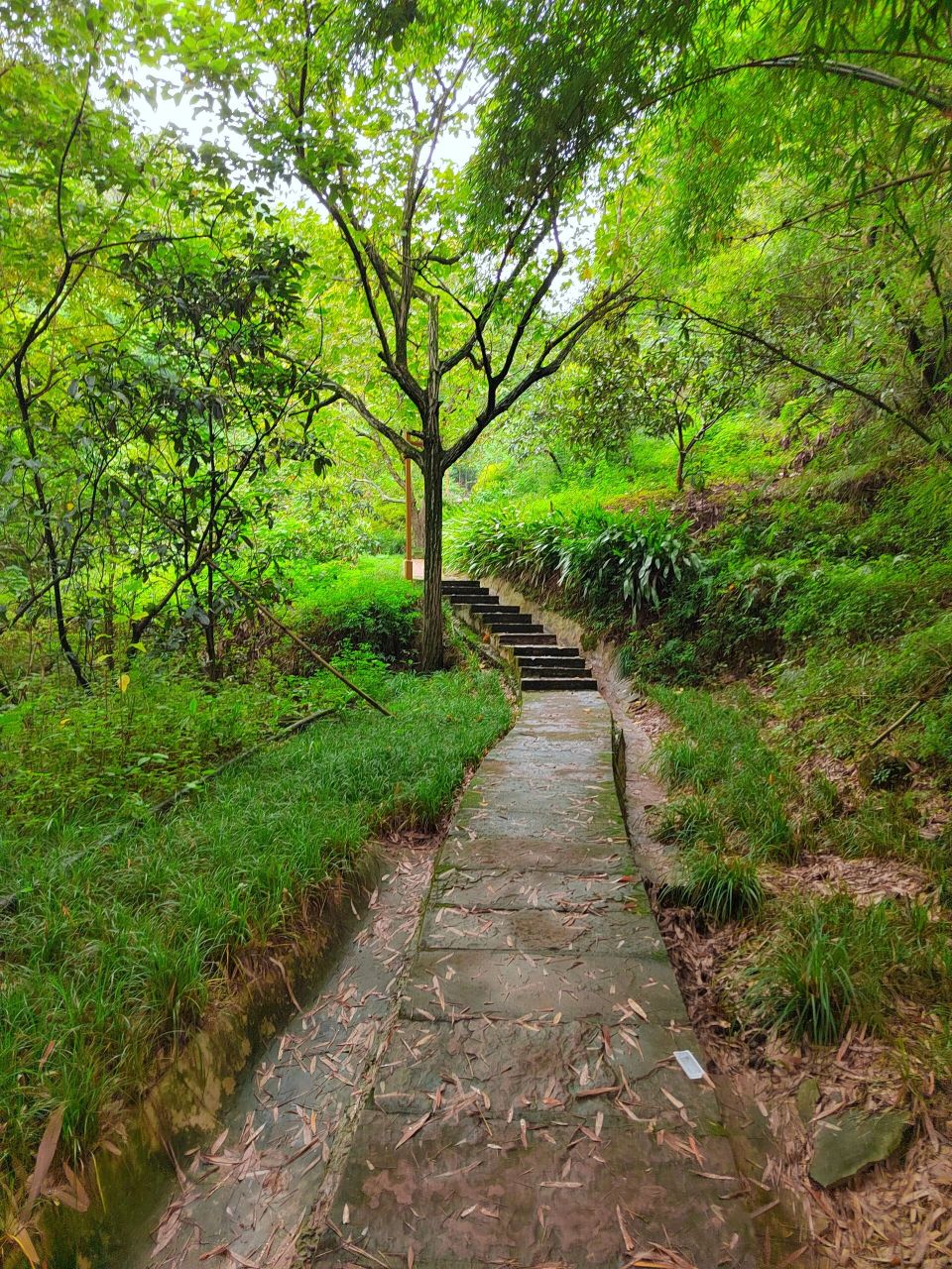 龙泉驿紫霞山风景区图片