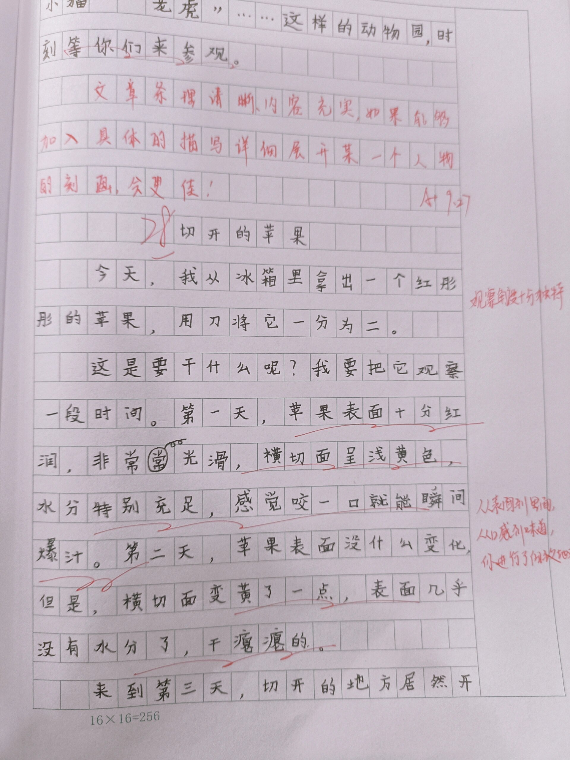 观察生活日记500字,初一(观察生活日记500字,初一上册)