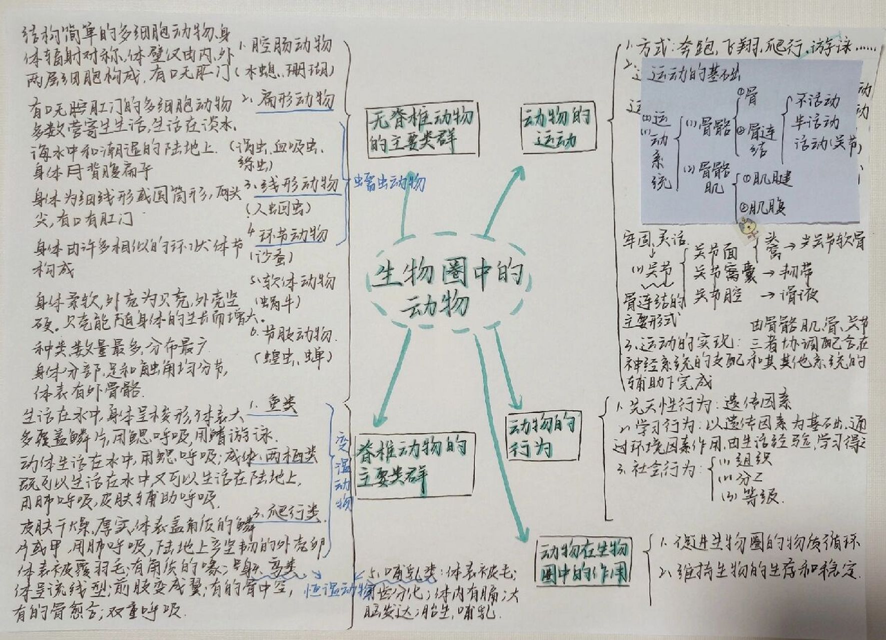 七上脊椎动物思维导图图片