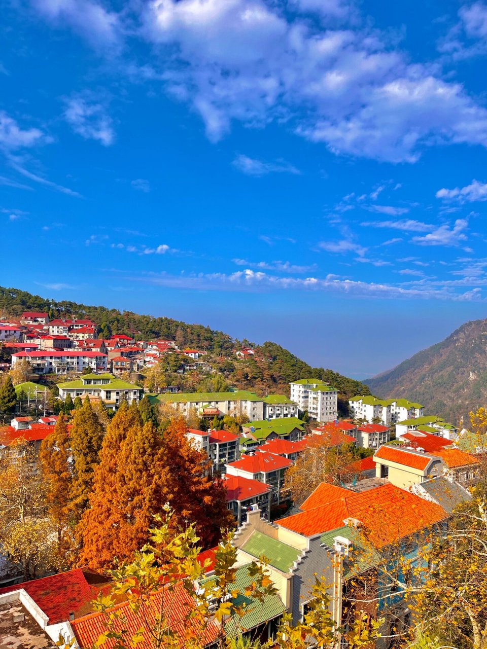 庐山的秋天一定会惊艳到你 这几天刷到了很多庐山雪景,但是我觉得秋天