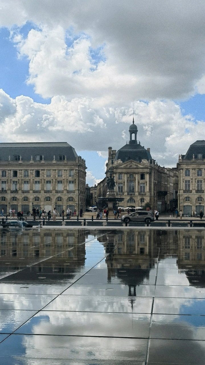 9891波尔多水镜广场 小孩和小狗的天堂