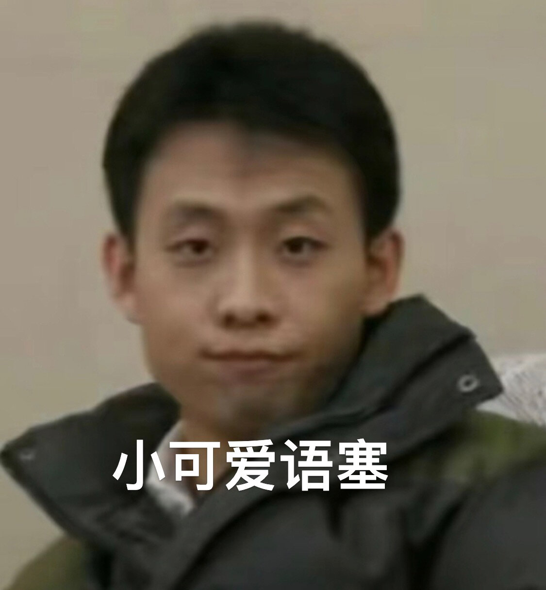 张译小可爱表情包