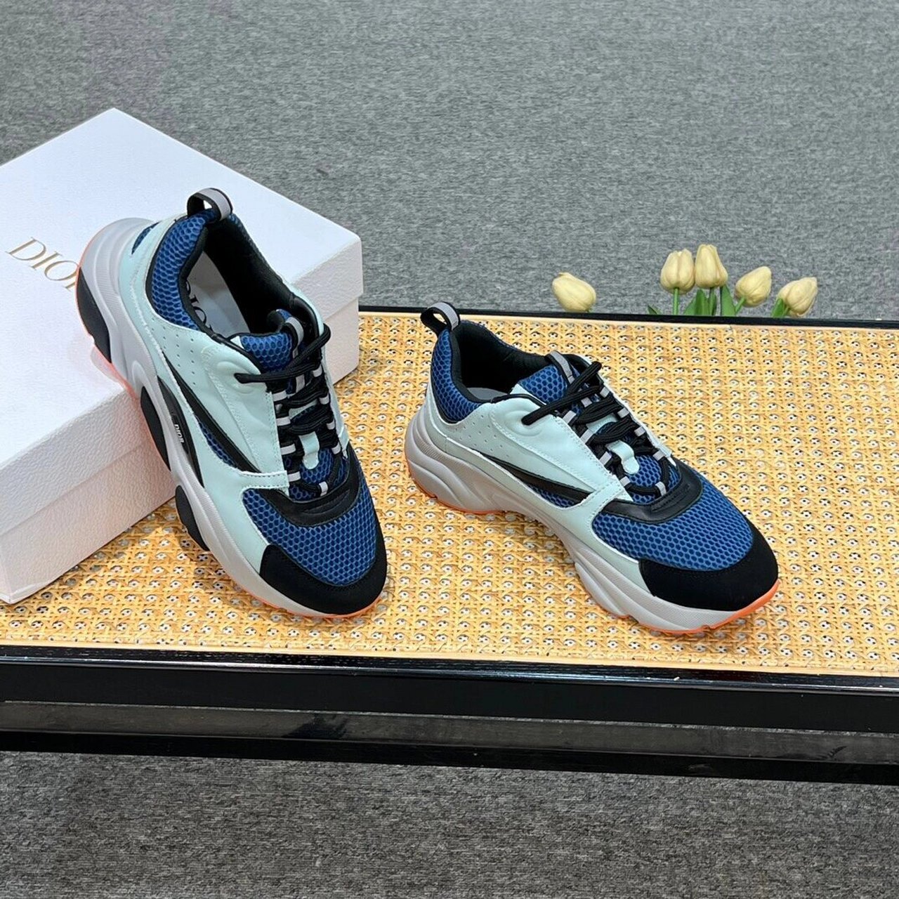 dior迪奥homme sneaker b22!