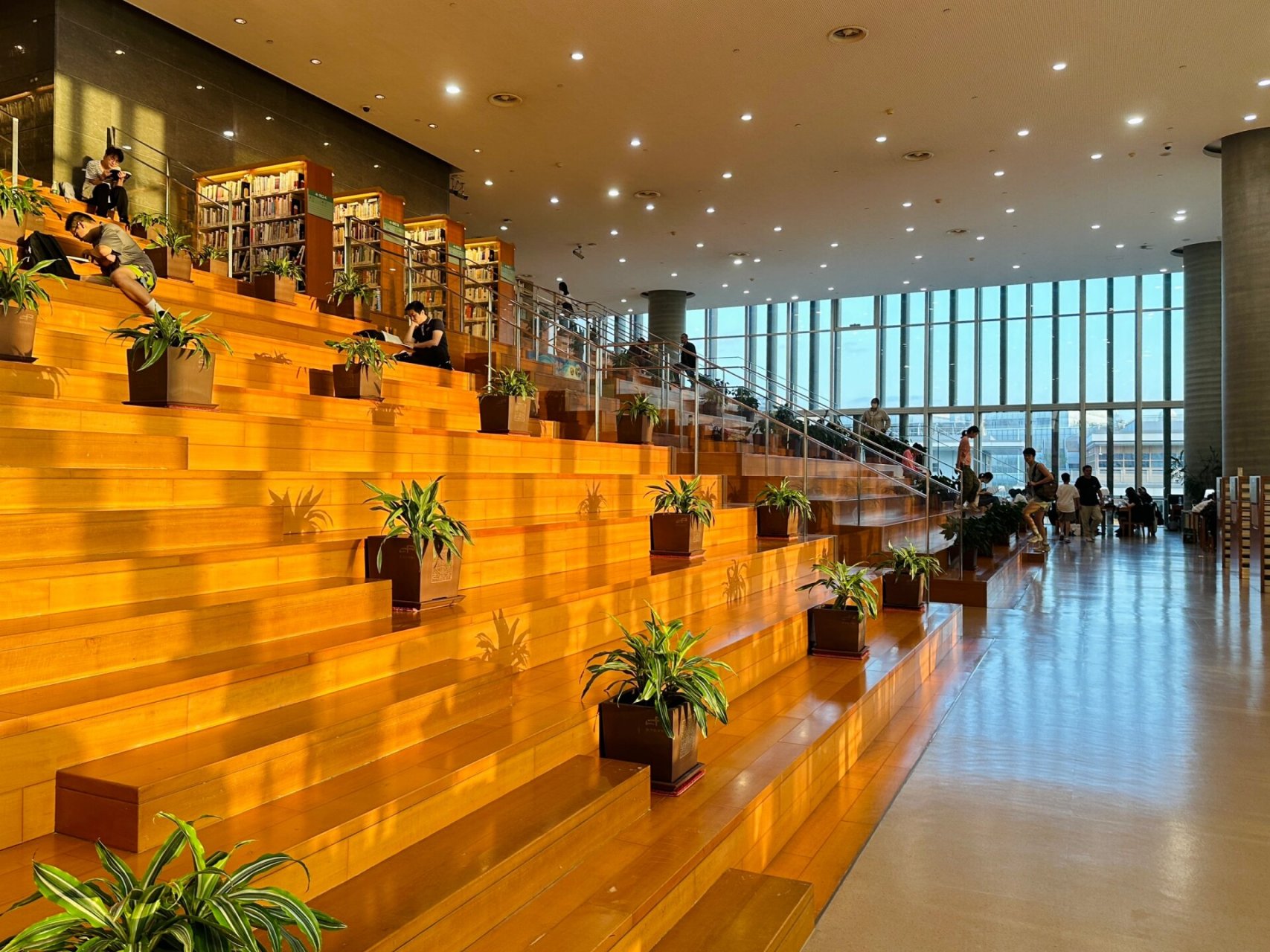 📖 浦东图书馆,上海最佳自习地点! 如果要说上海我最爱的图书馆?