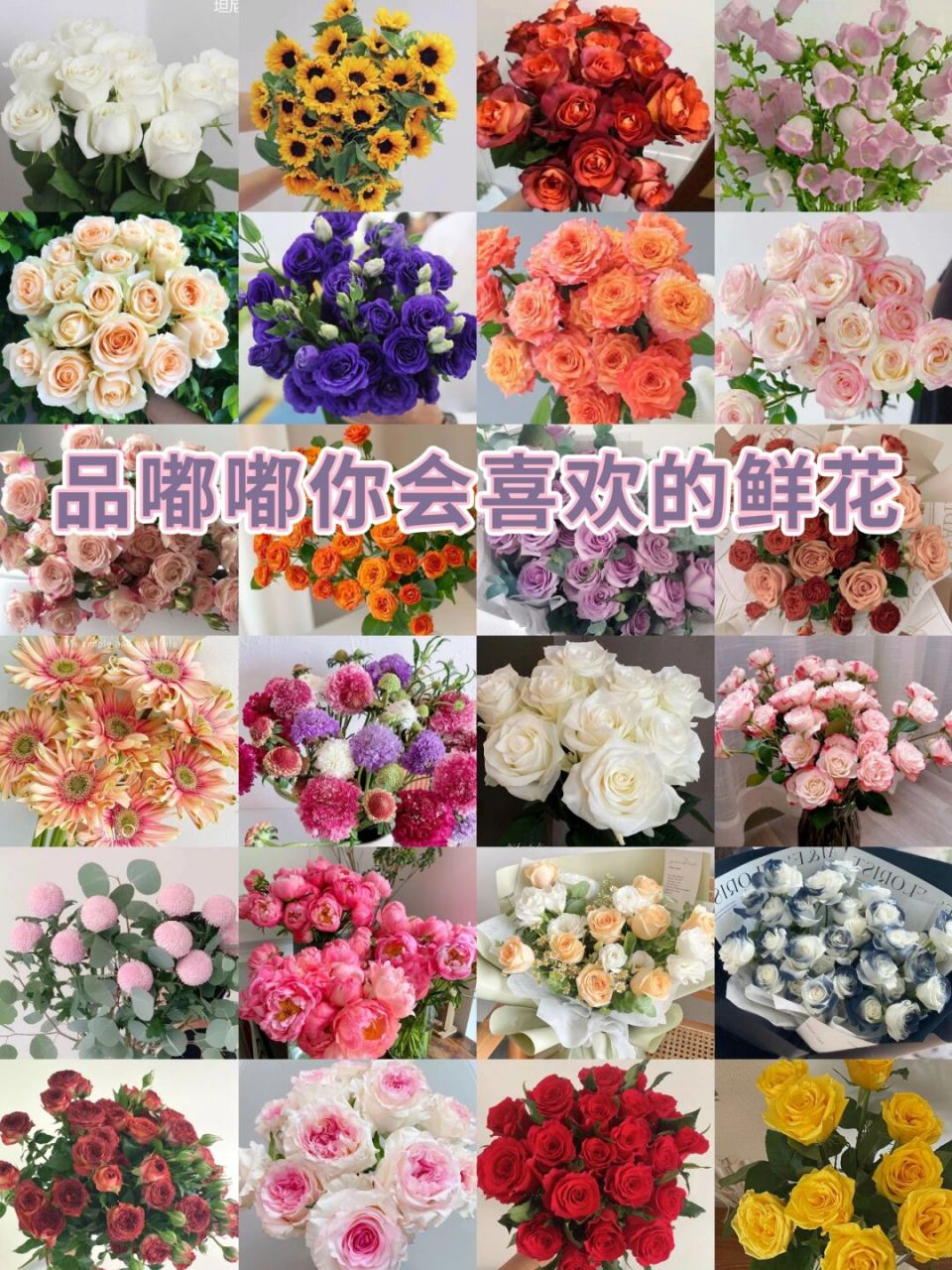 96私藏6家鲜花店铺分享 95店铺名称在这里哦95 266蓝琪鲜花