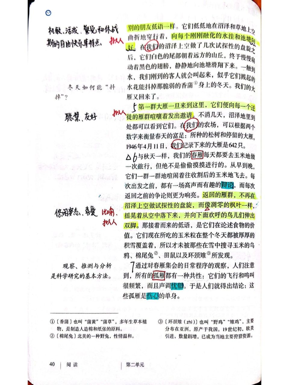 八下第7课《大雁归来》笔记 教案 解读 暑假备课第7天,教师小伙伴一