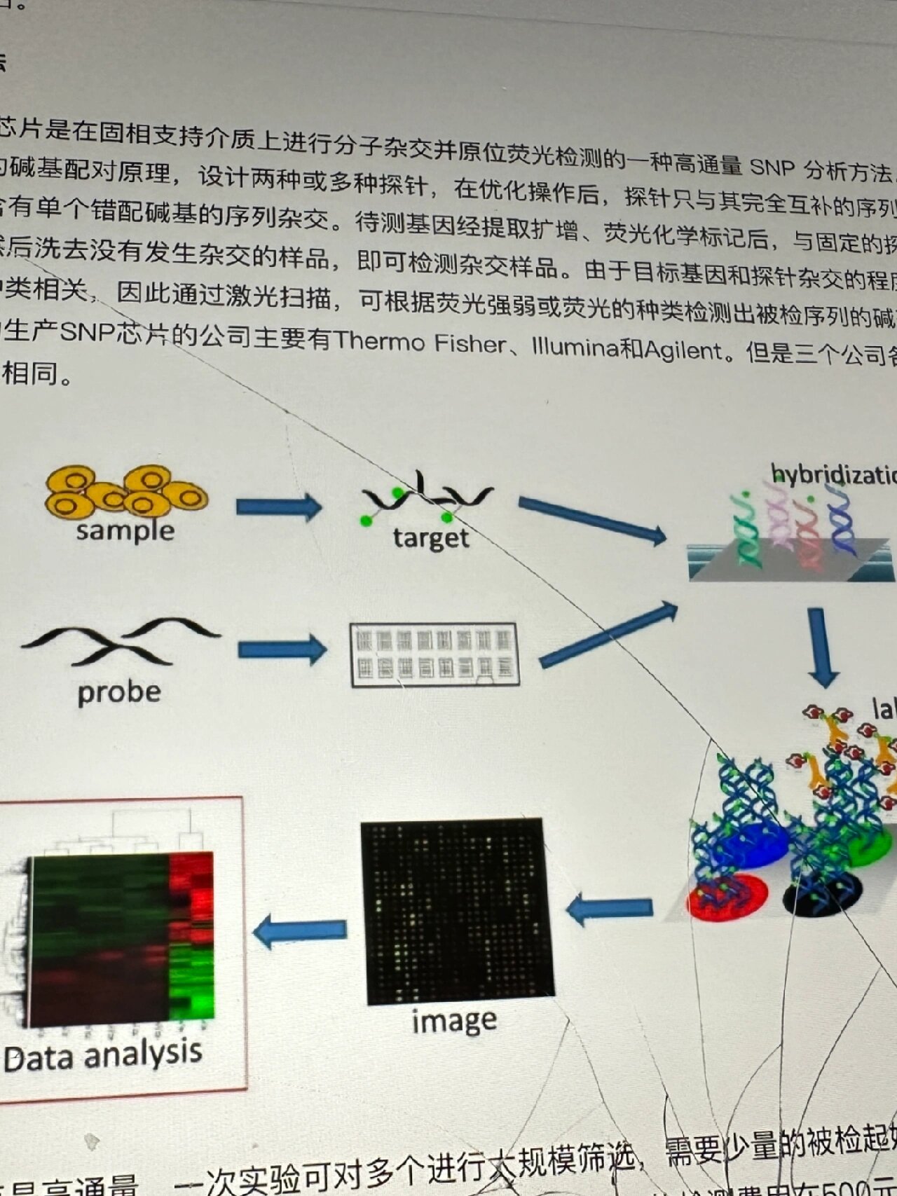 我的理解是