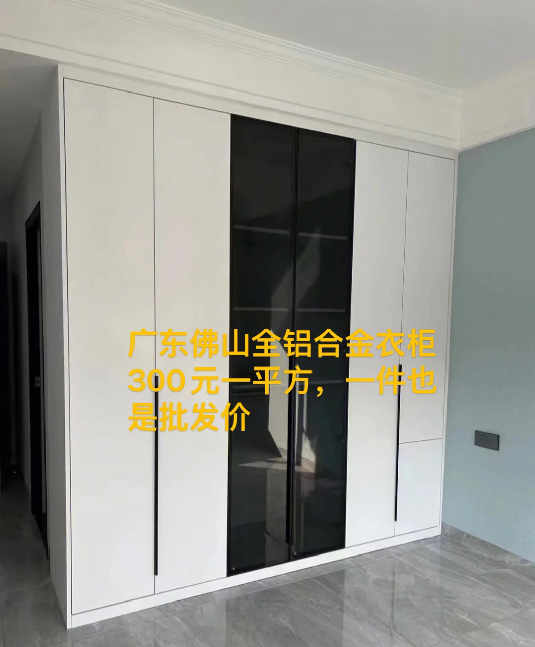 广东佛山铝合金衣柜300一平方 佛山全铝衣柜1件也是批发价 如果您注重