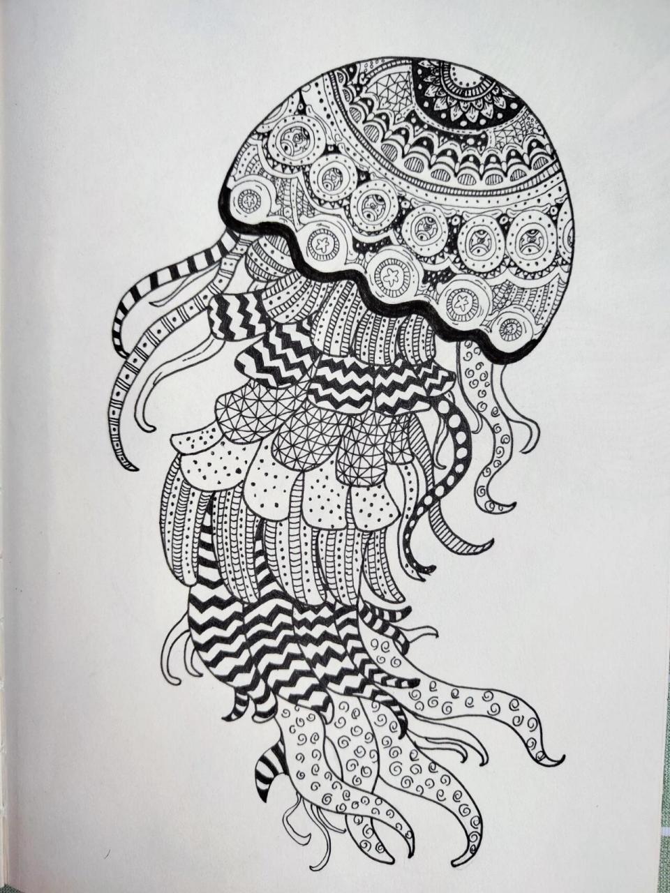 零基础继续来练习控笔啦 动物线描画 水母 78这种程度的线描画都不