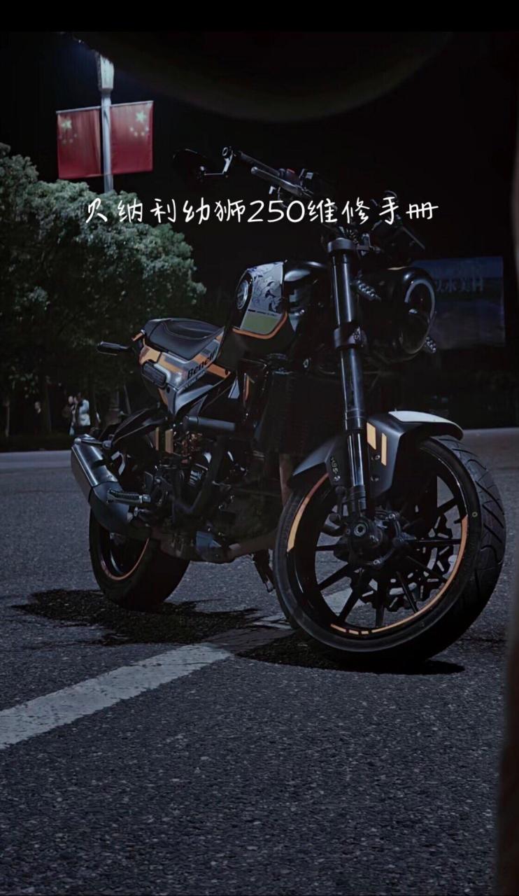 贝纳利幼狮250维修手册.