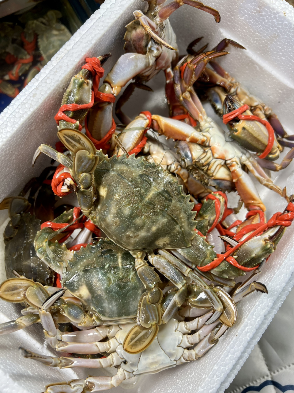 烟台本地花盖蟹 200一箱75鲜活哦 花盖蟹自由啦.满满一大箱200.