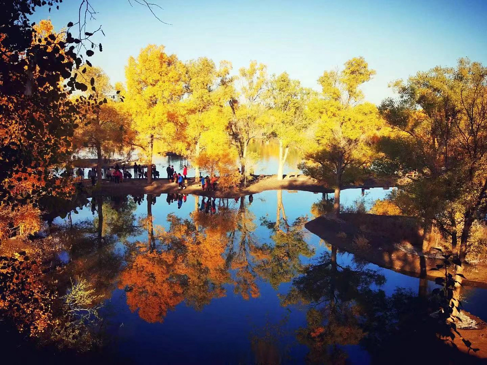 甘肃文旅网红创意大会# 金塔沙漠胡杨林景区是国家aaaa级旅游景区,是