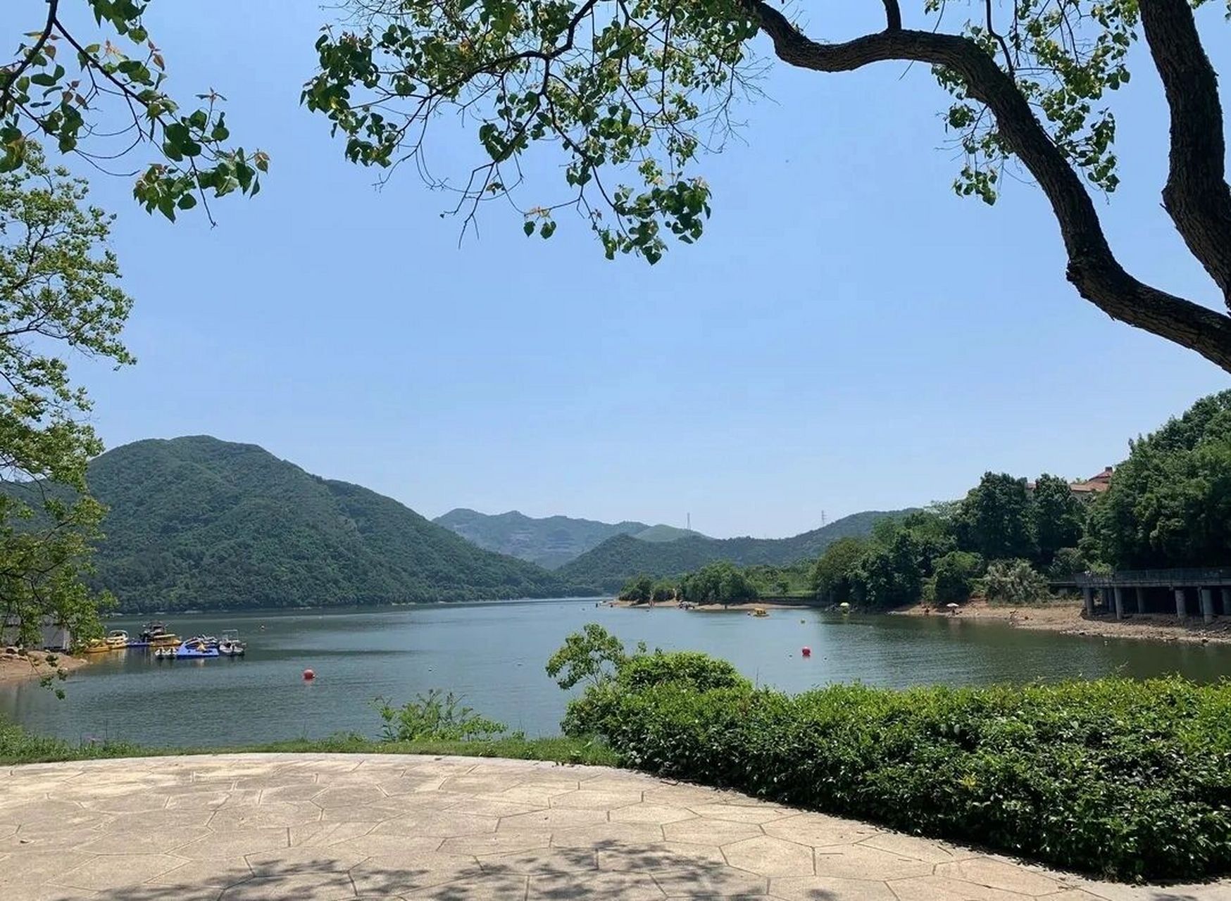 青山湖水上森林98|攻略看这一篇就够了75  	 02简介: 	 93