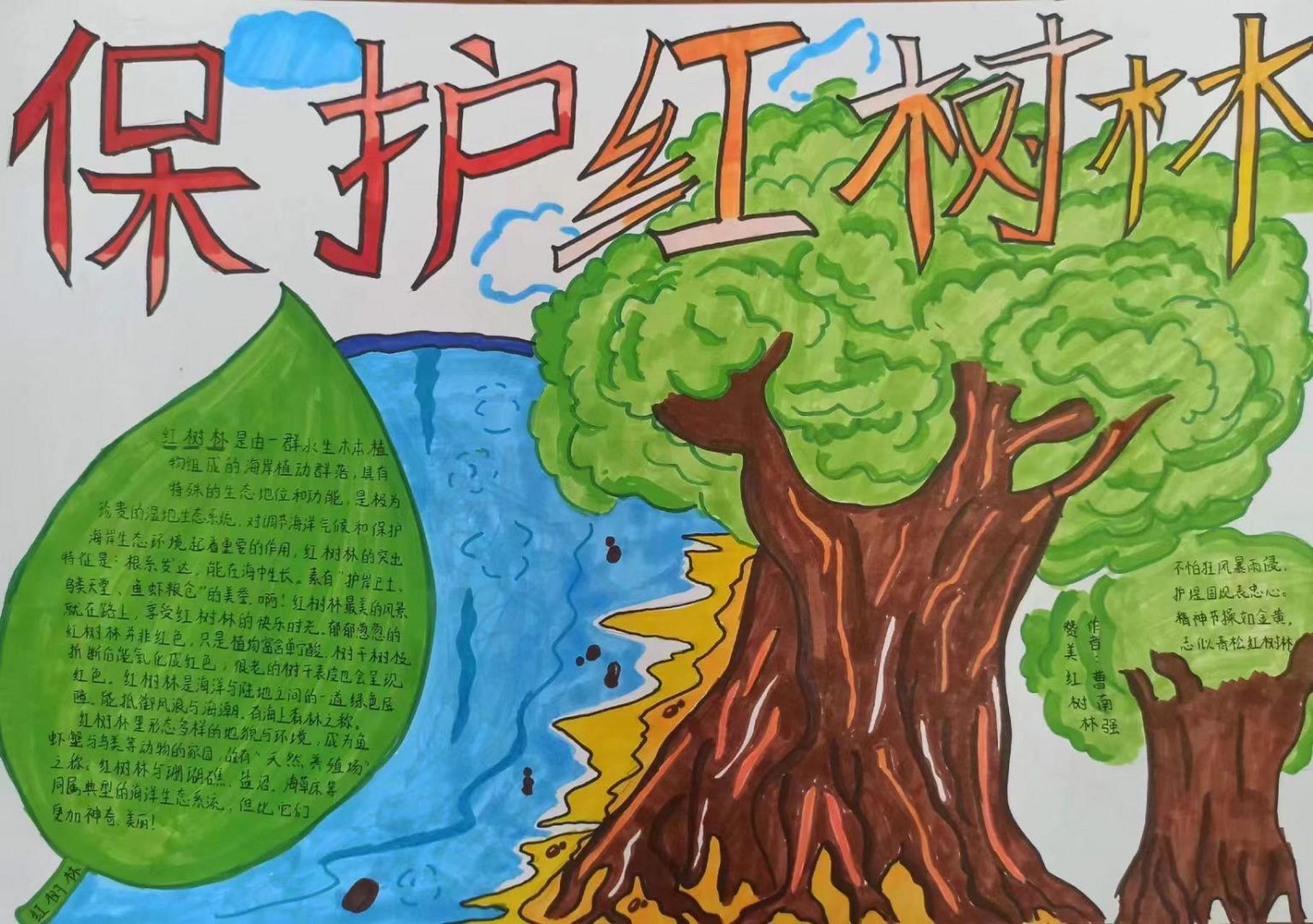 【湛江红树林】"保护红树林,守护湛江碧海蓝天"学生96 画画,手抄报