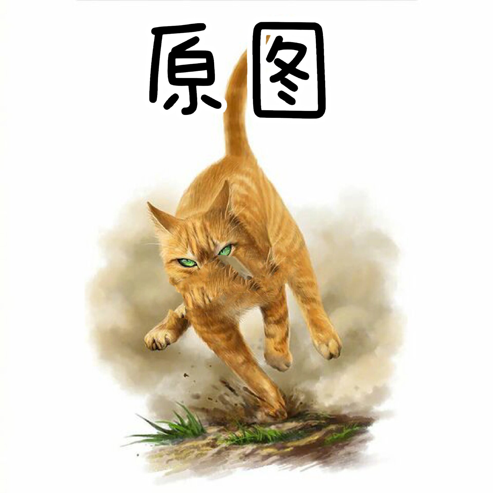 猫武士拟人文图片