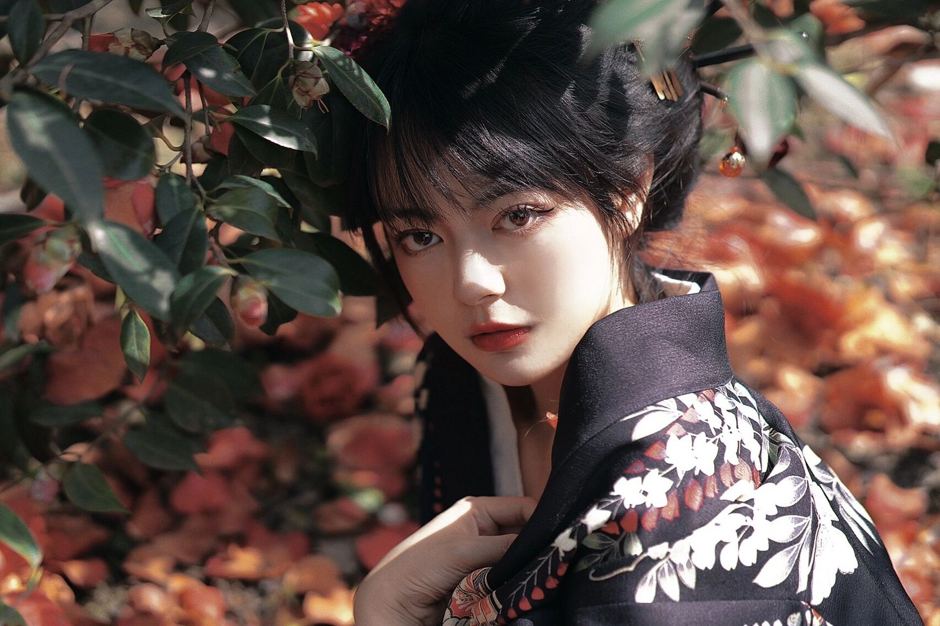 唯有你的光辉,能像漫过山岭的薄雾【山茶花】 黑色和服和山茶花就是