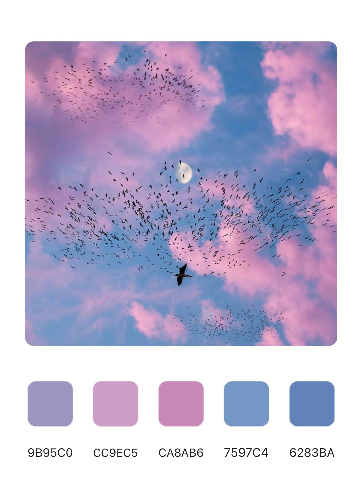 配色灵感-粉蓝色天空7815蓝紫色彩搭配