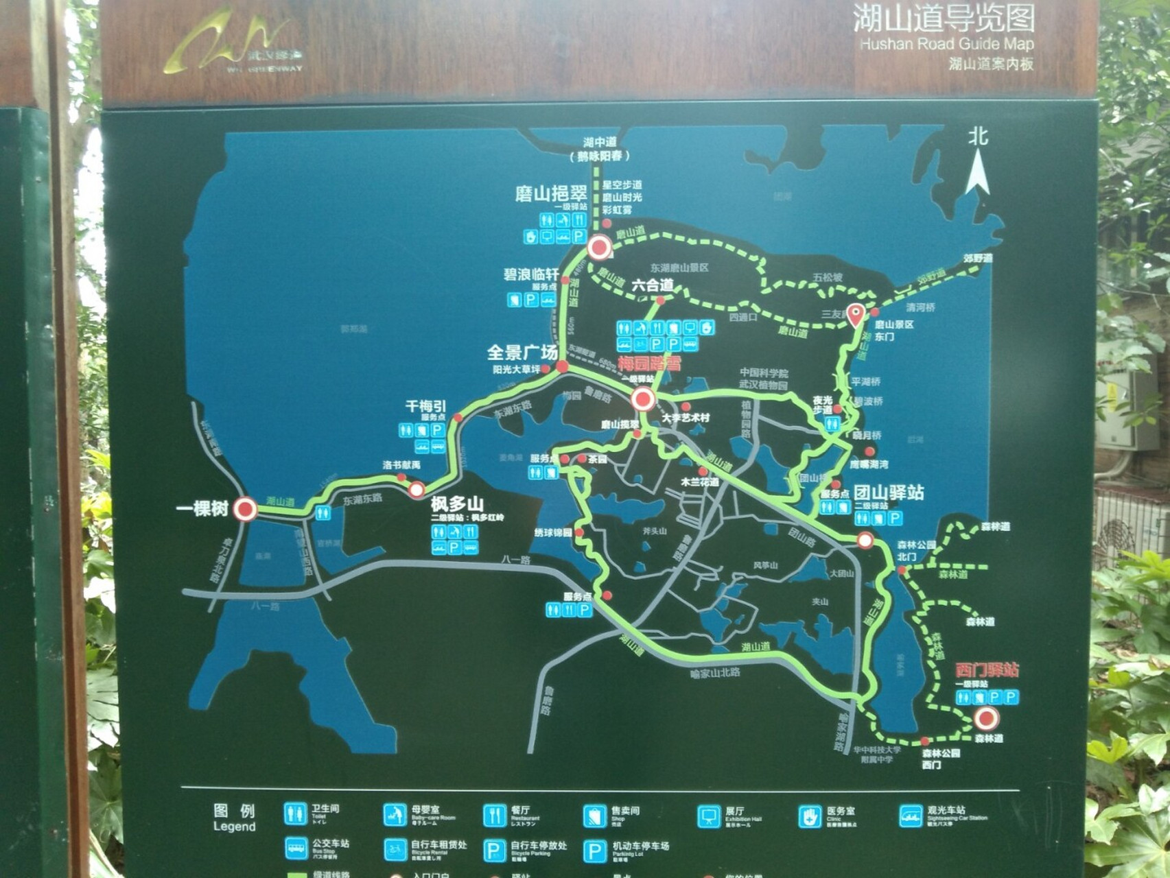 武汉植物园导游图图片