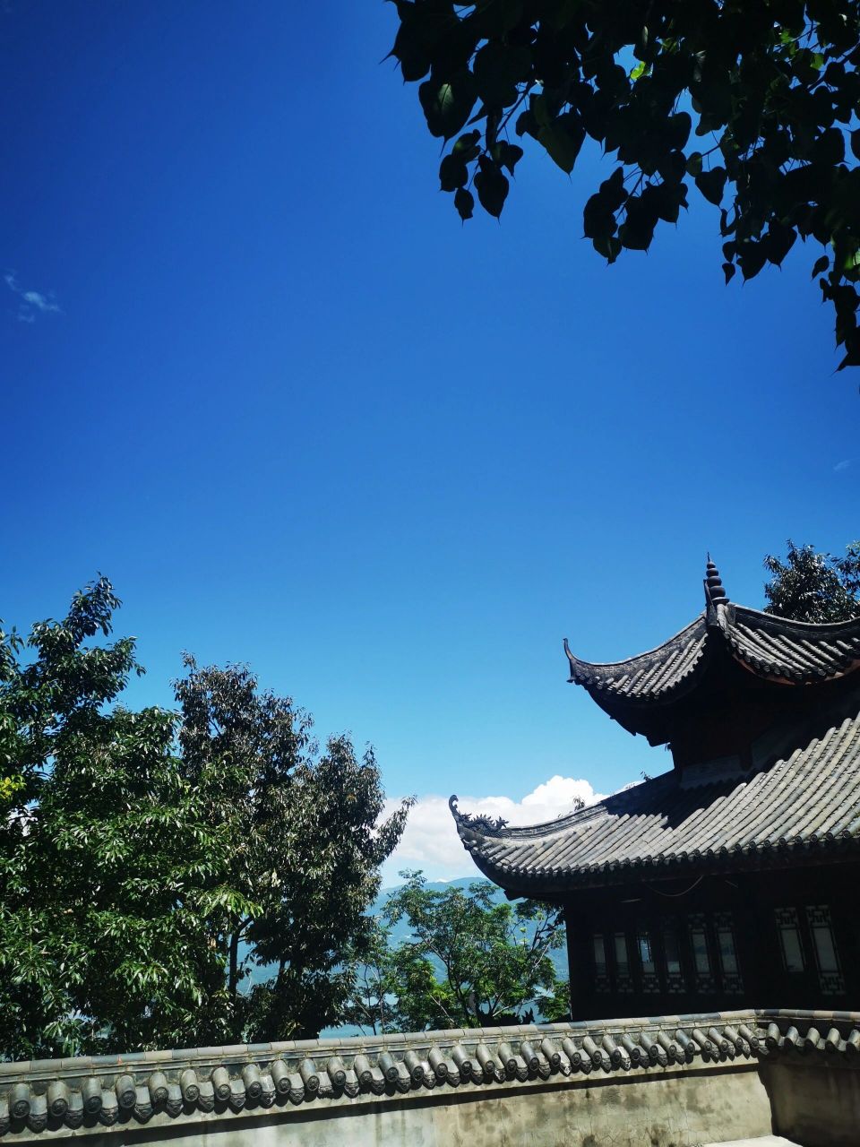 西昌旅行之光福寺 99 泸山第一古刹 ---67光福寺 67     吟诵声