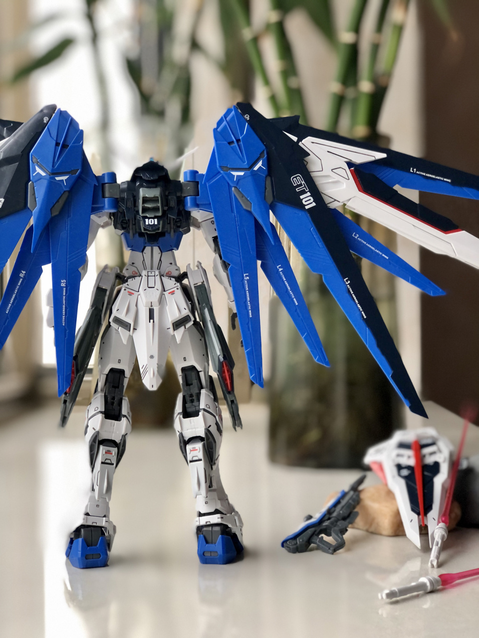 高达模型 国模 大班 自由2.