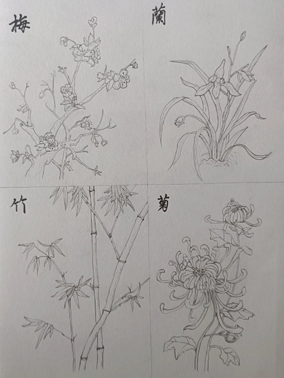 花中四君子梅兰竹菊 新手上路