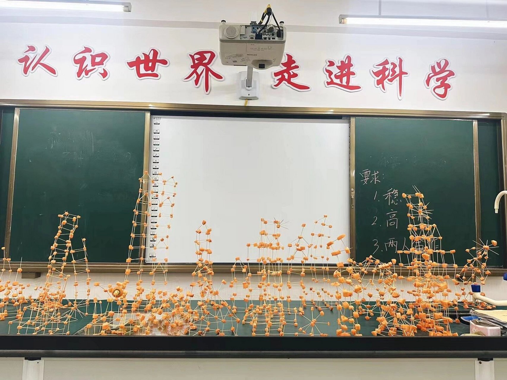 科学社团课——胡萝卜塔  实验材料:胡萝卜 牙签