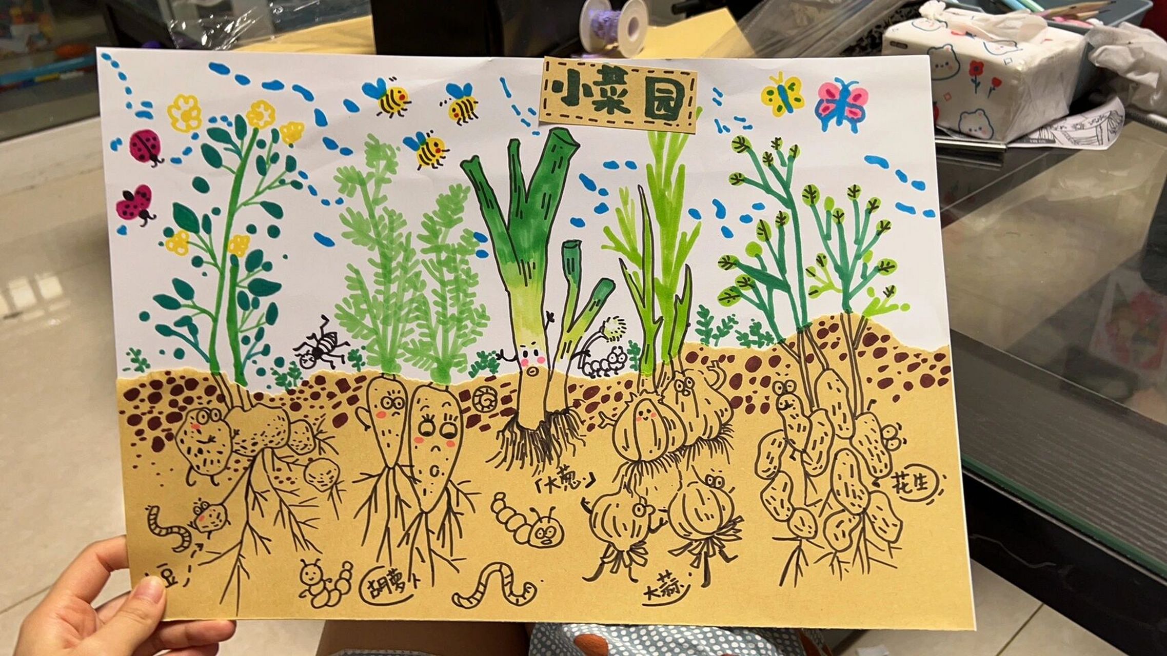 创意美术|小菜园